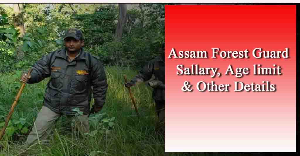 Assam Forest Forest Guard Salary, Age limit, Qualification, Height, Chest, How to Apply All Details