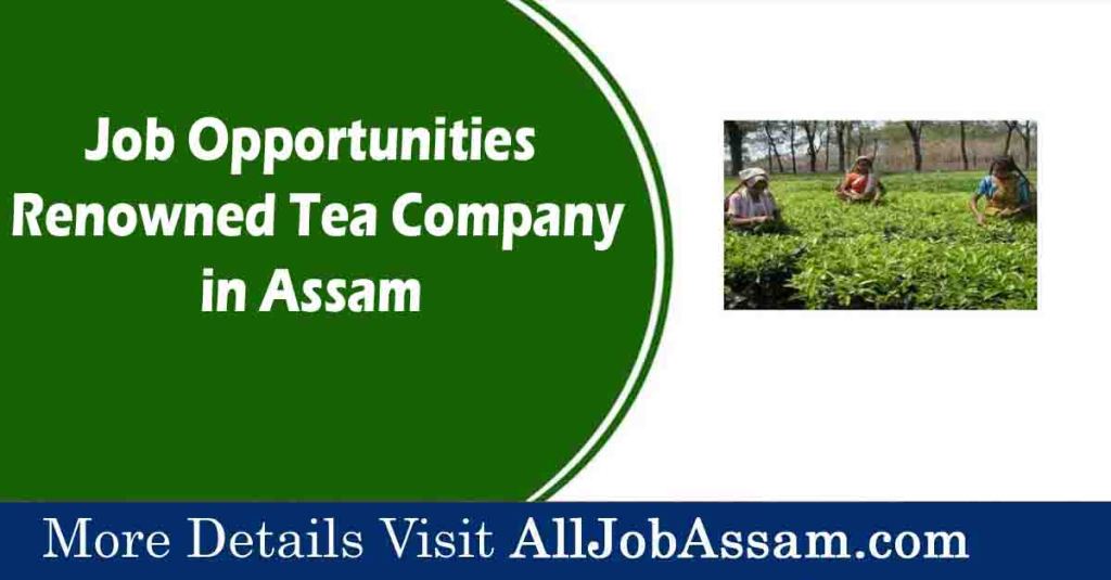 Exciting Job Opportunities at a Renowned Tea Company in Assam